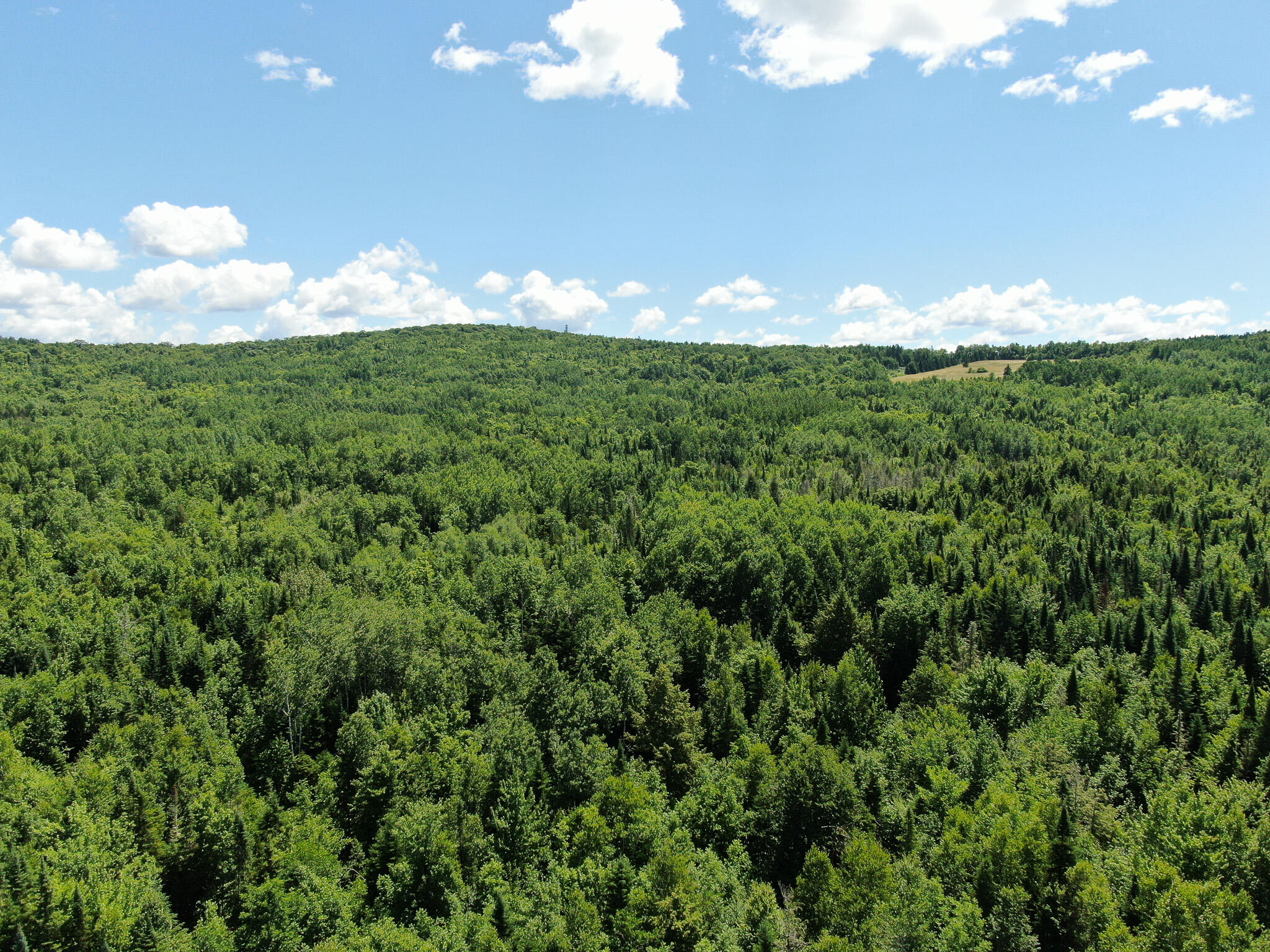Lot 6 Woodland Ridge Road Danforth ME 04424