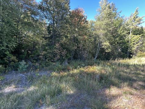 M6L24 Us Route 9 Wesley ME 04686
