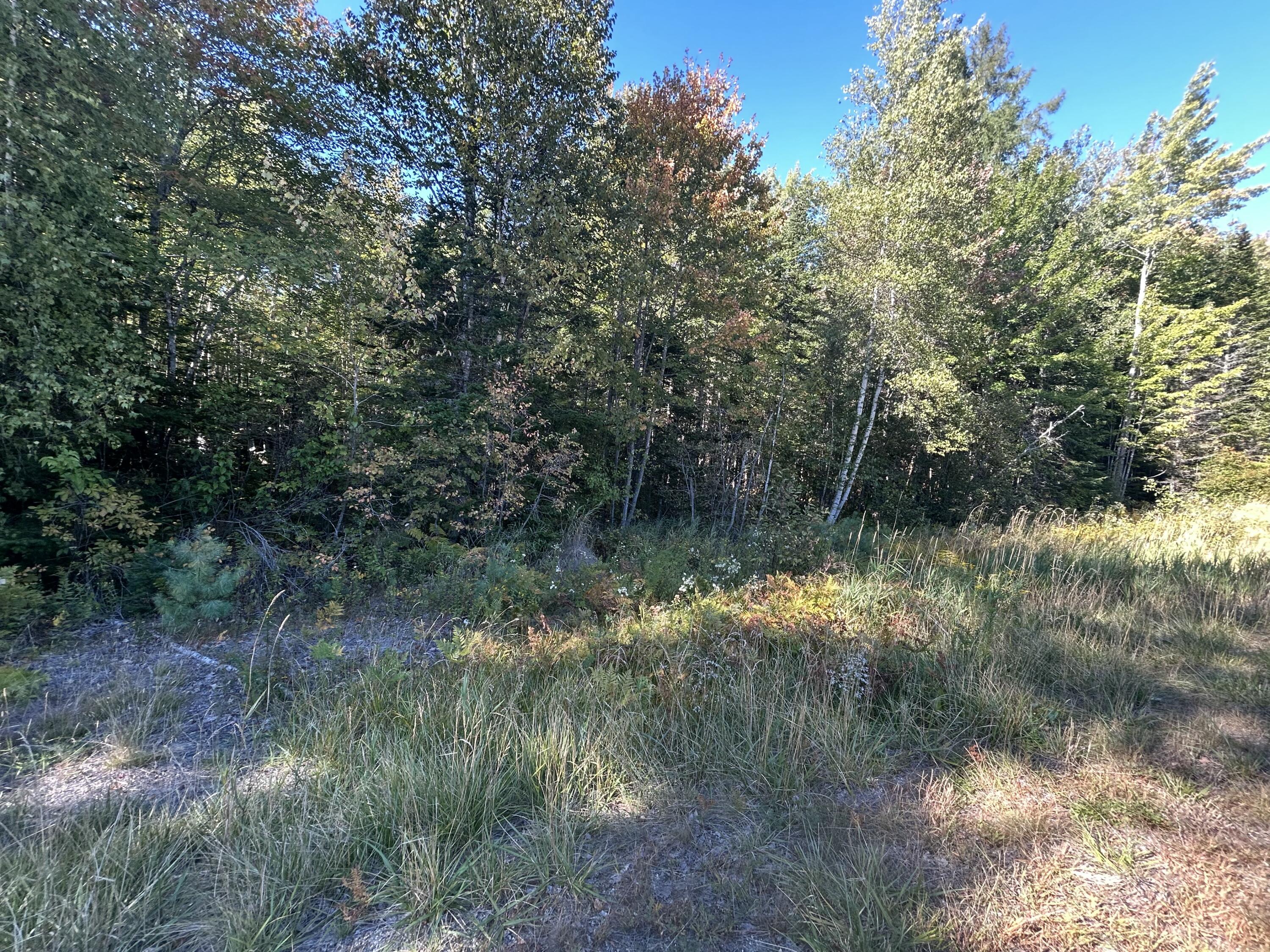 M6L24 Us Route 9 Wesley ME 04686
