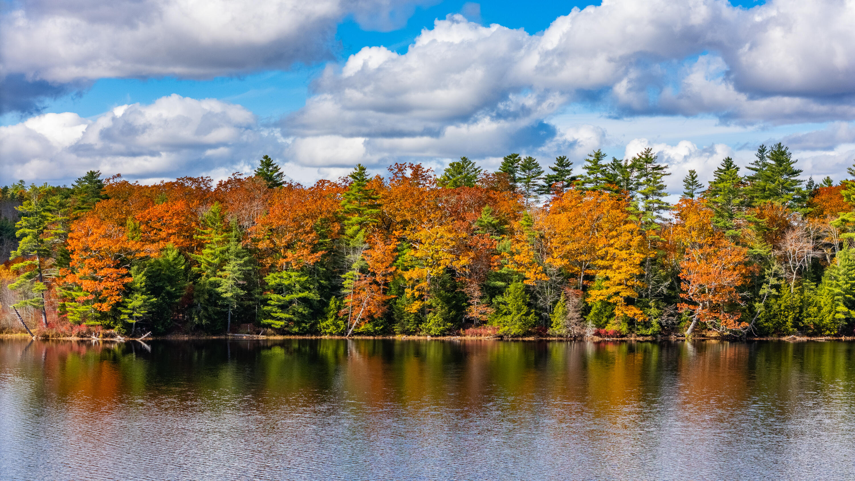 Lot 15&40 Gibbs Road Wiscasset ME 04578