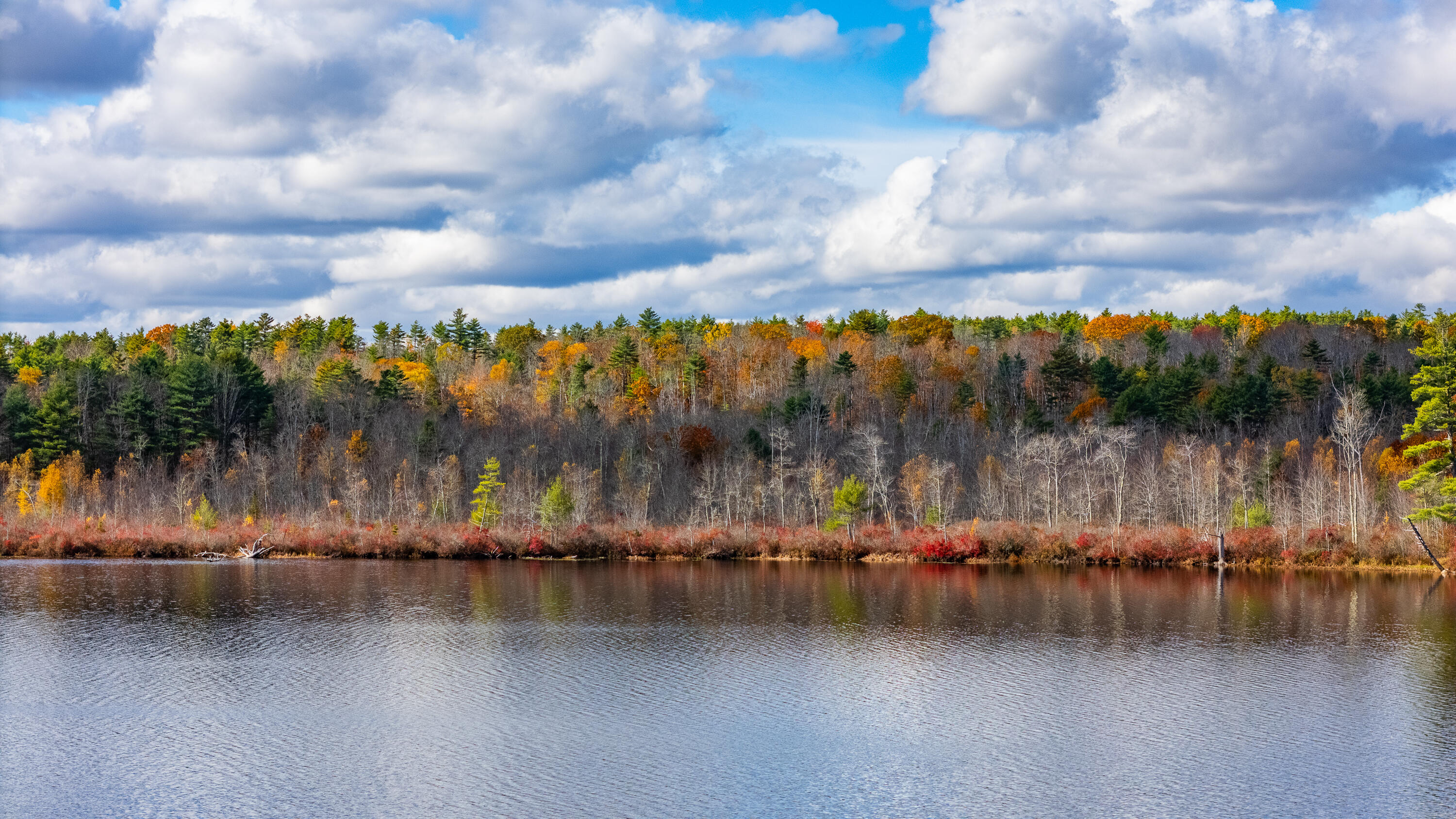 Lot 15&40 Gibbs Road Wiscasset ME 04578