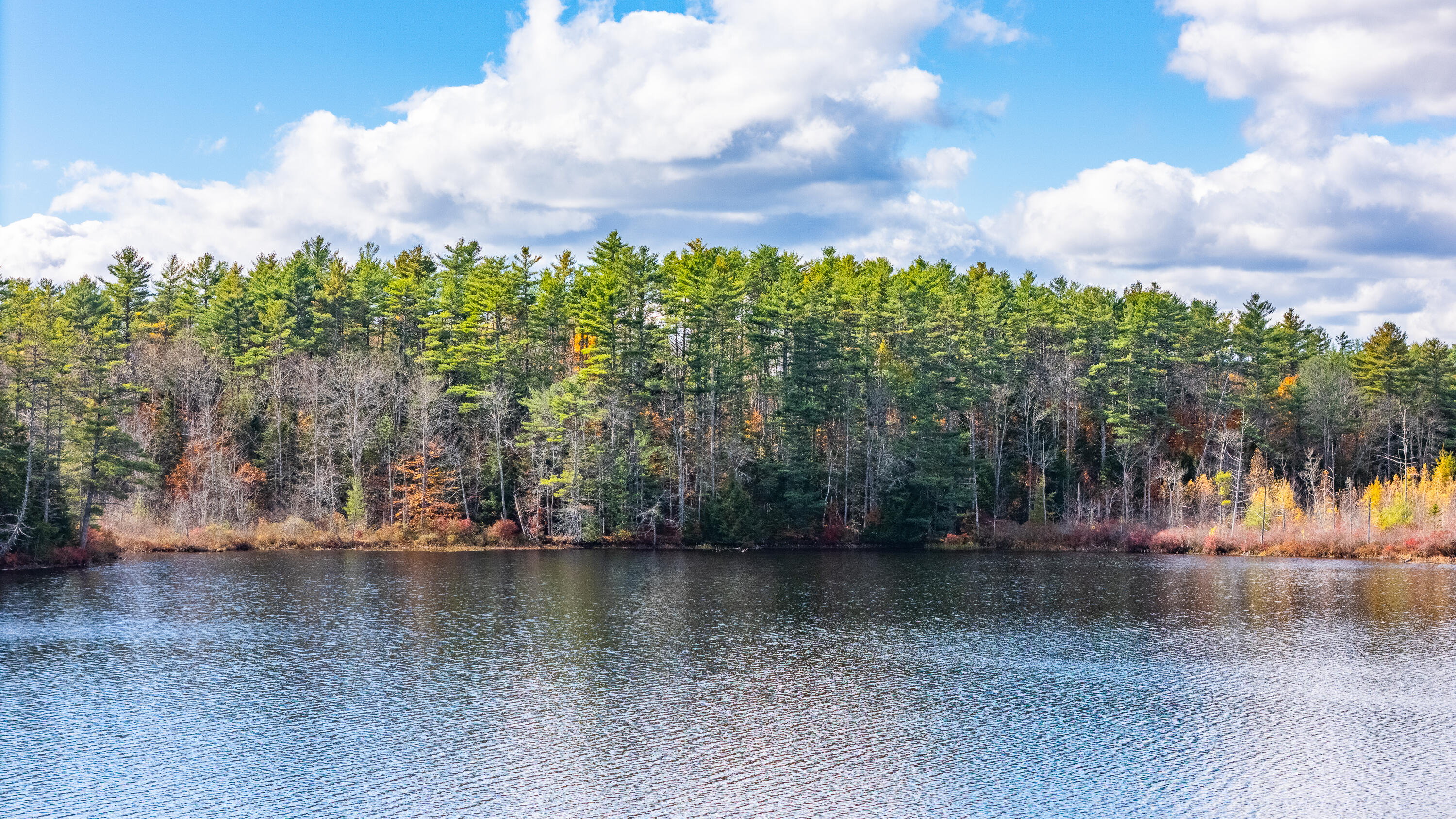 Lot 15&40 Gibbs Road Wiscasset ME 04578