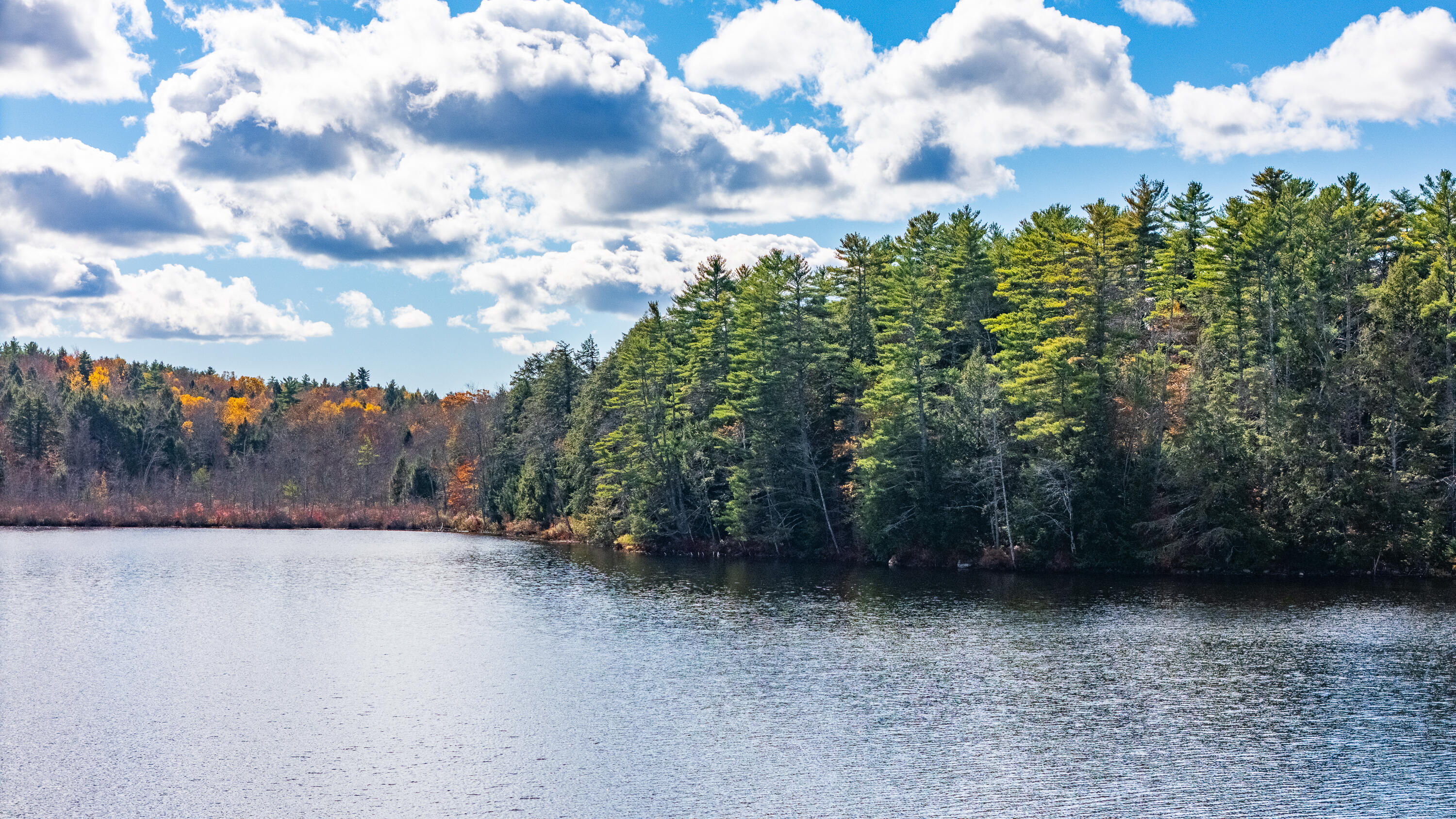 Lot 15&40 Gibbs Road Wiscasset ME 04578