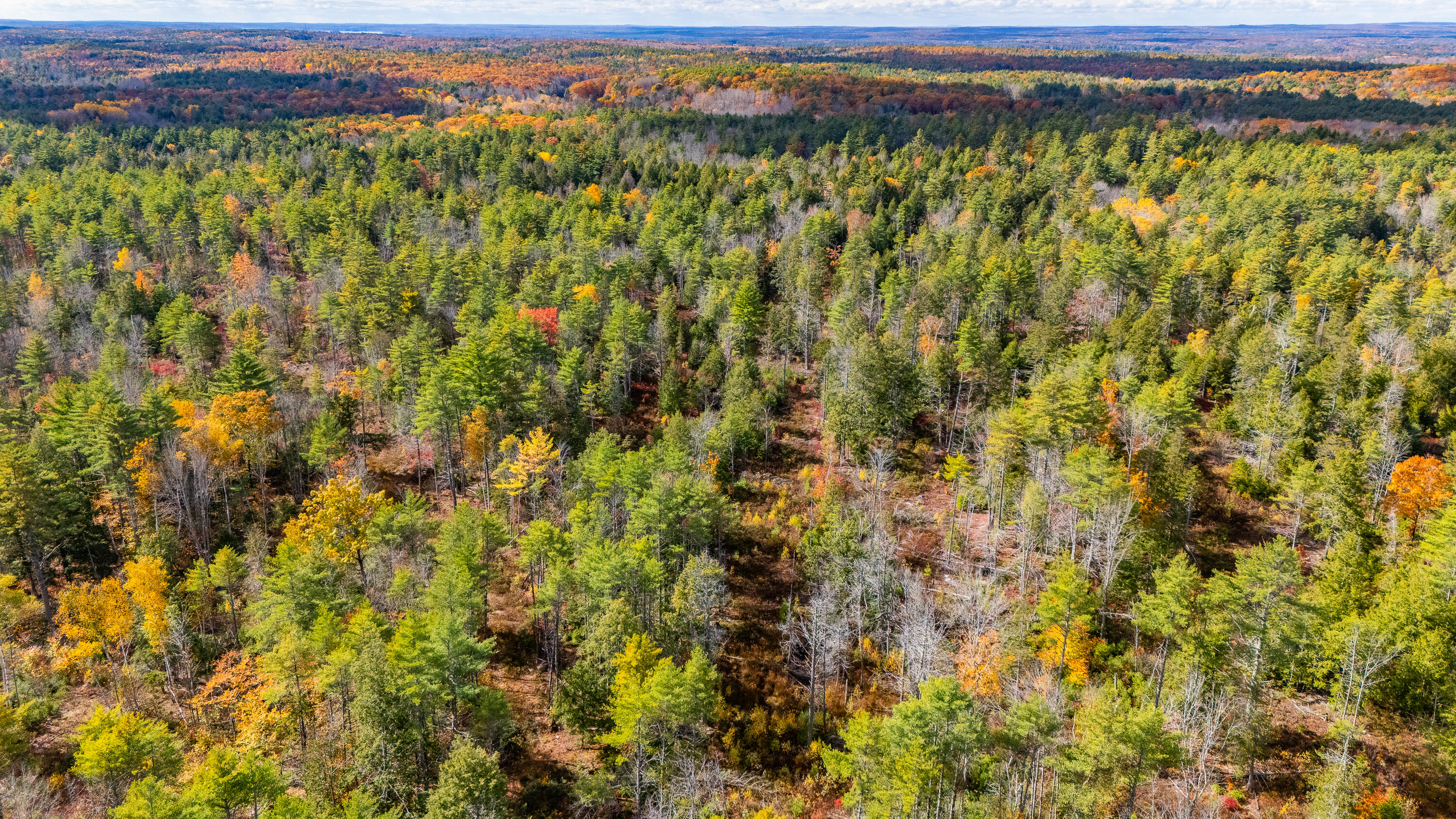 Lot 15&40 Gibbs Road Wiscasset ME 04578