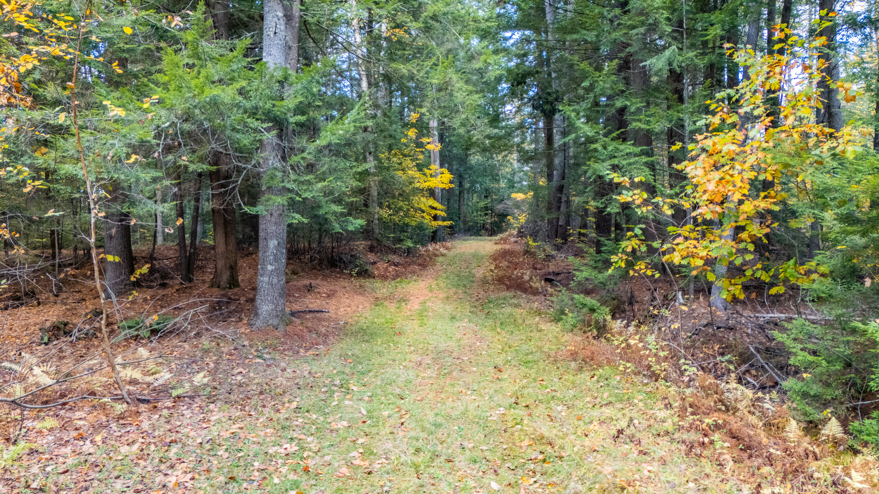 Lot 15&40 Gibbs Road Wiscasset ME 04578