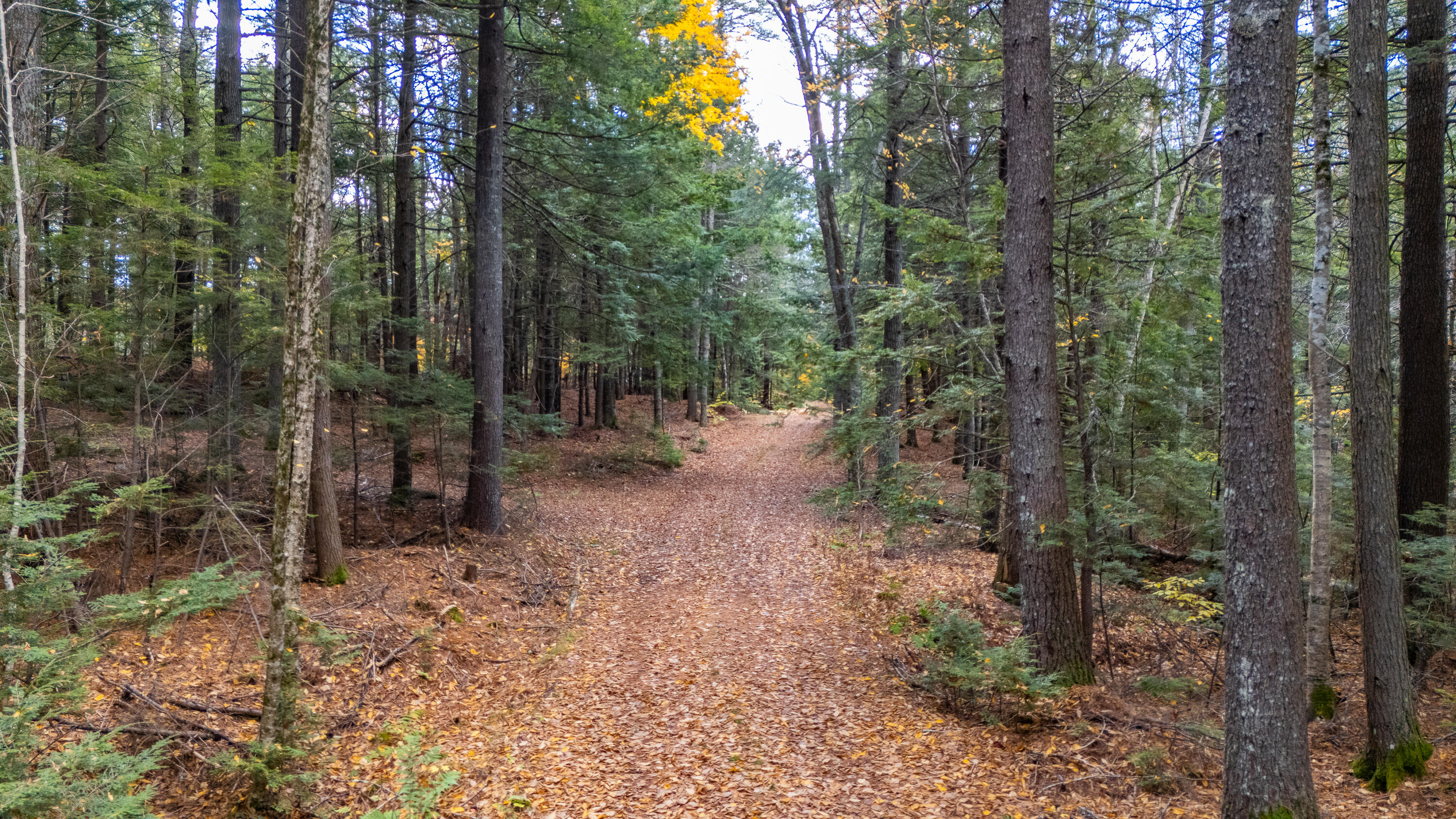 Lot 15&40 Gibbs Road Wiscasset ME 04578