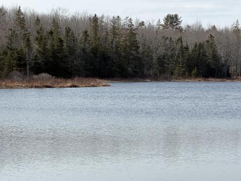 25C Guzzle Road Gouldsboro ME 04607