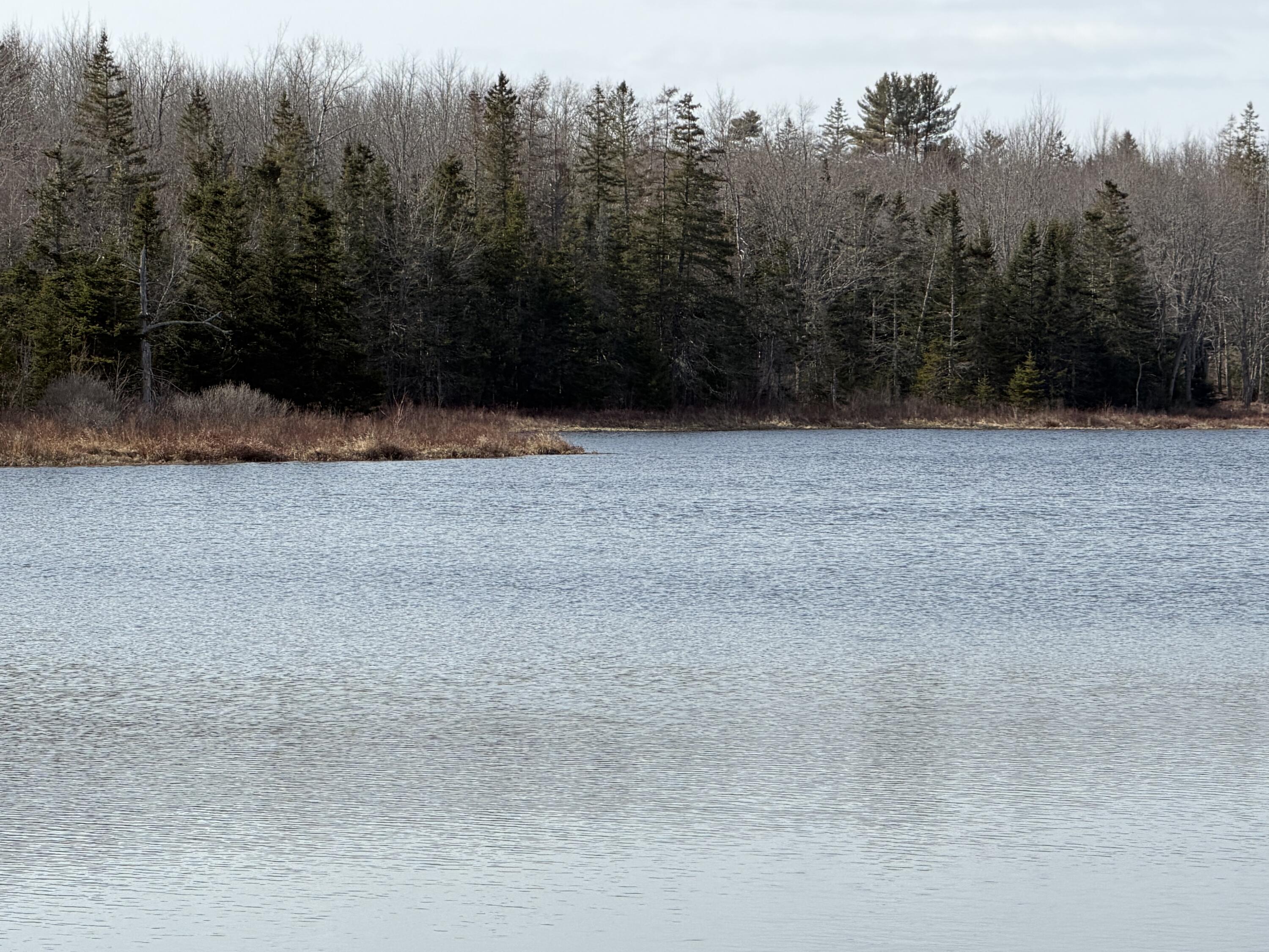 25C Guzzle Road Gouldsboro ME 04607