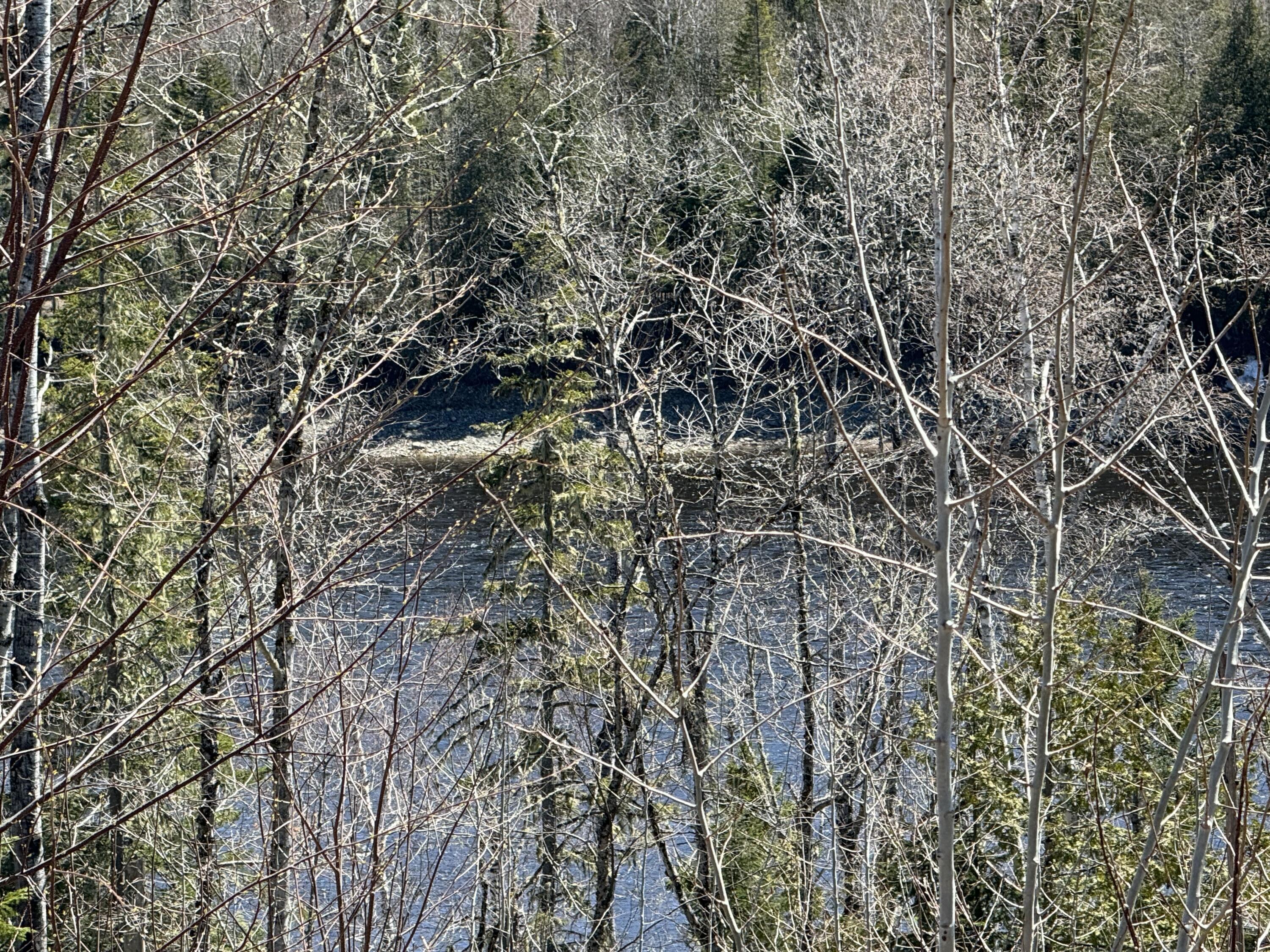 Lot 213 Gardner Creek Road Wade, ME