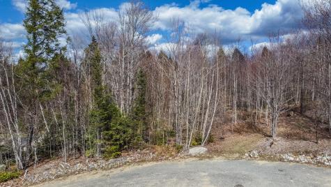 Lot 14 Bear Lane Greenwood ME 04255