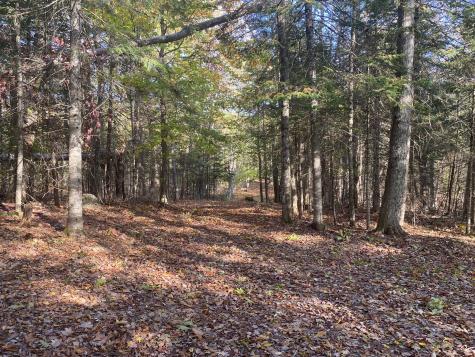 Mu14 Lot 6 Medway Road Mattawamkeag ME 04459
