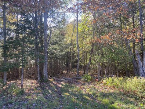 Mu14 Lot 6 Medway Road Mattawamkeag ME 04459