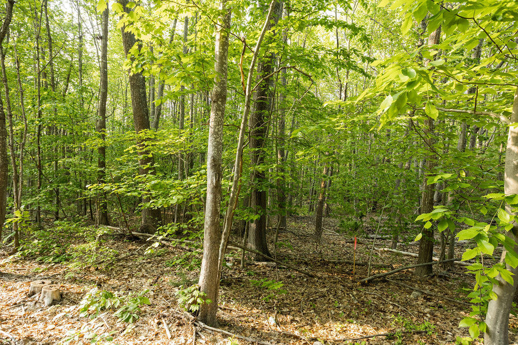 247 Mountain Road York ME 03902