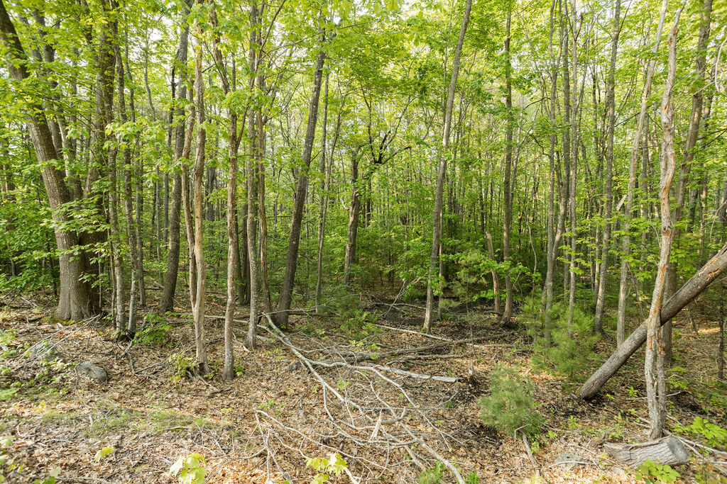 247 Mountain Road York ME 03902
