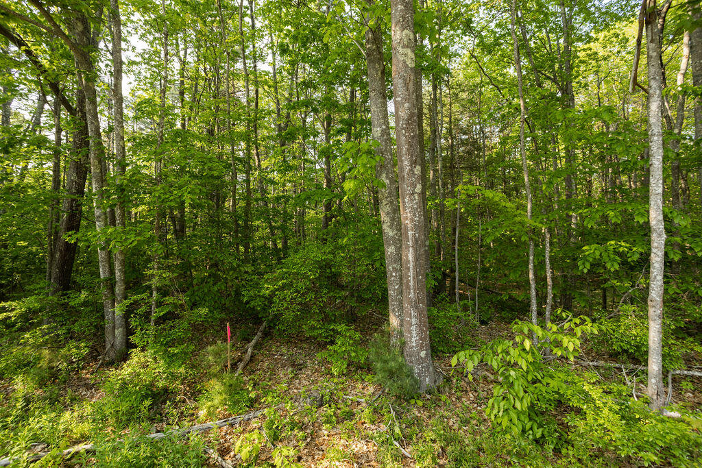 247 Mountain Road York ME 03902