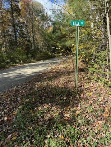 Lot 9-1 Lilly Drive Newport ME 04953