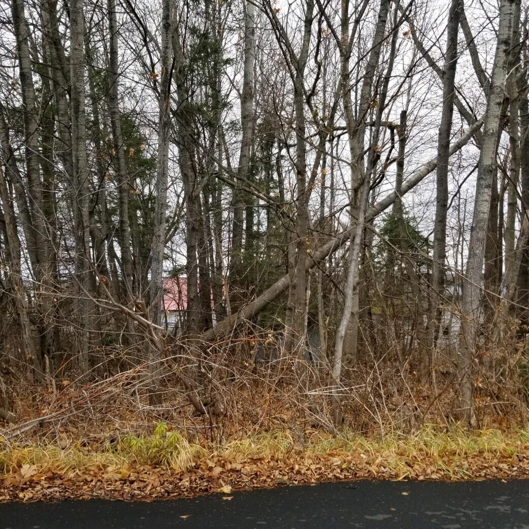 10 Webster Street Limestone ME 04750