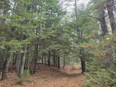 00 W Alna Road Alna ME 04535