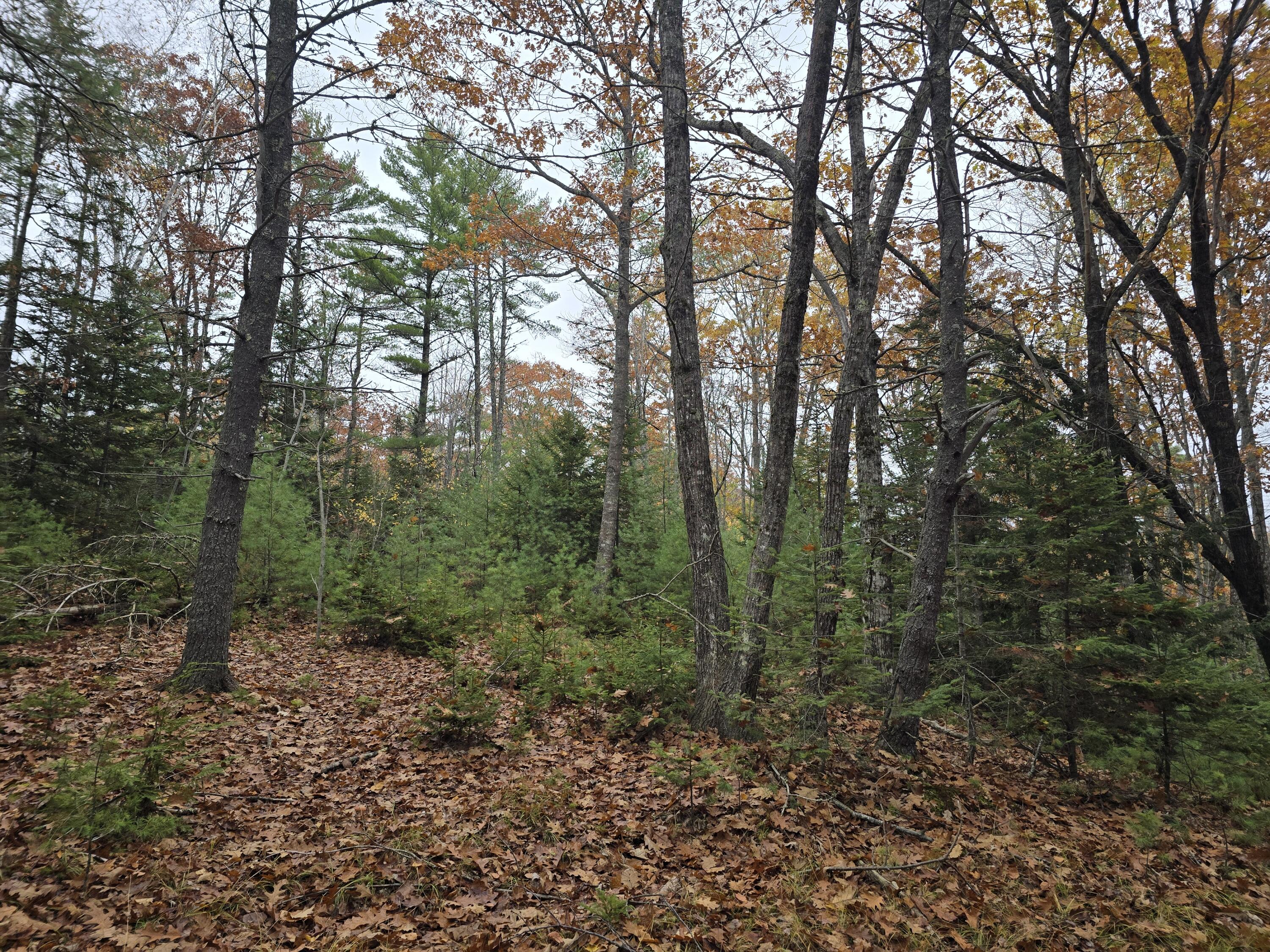 00 W Alna Road Alna ME 04535