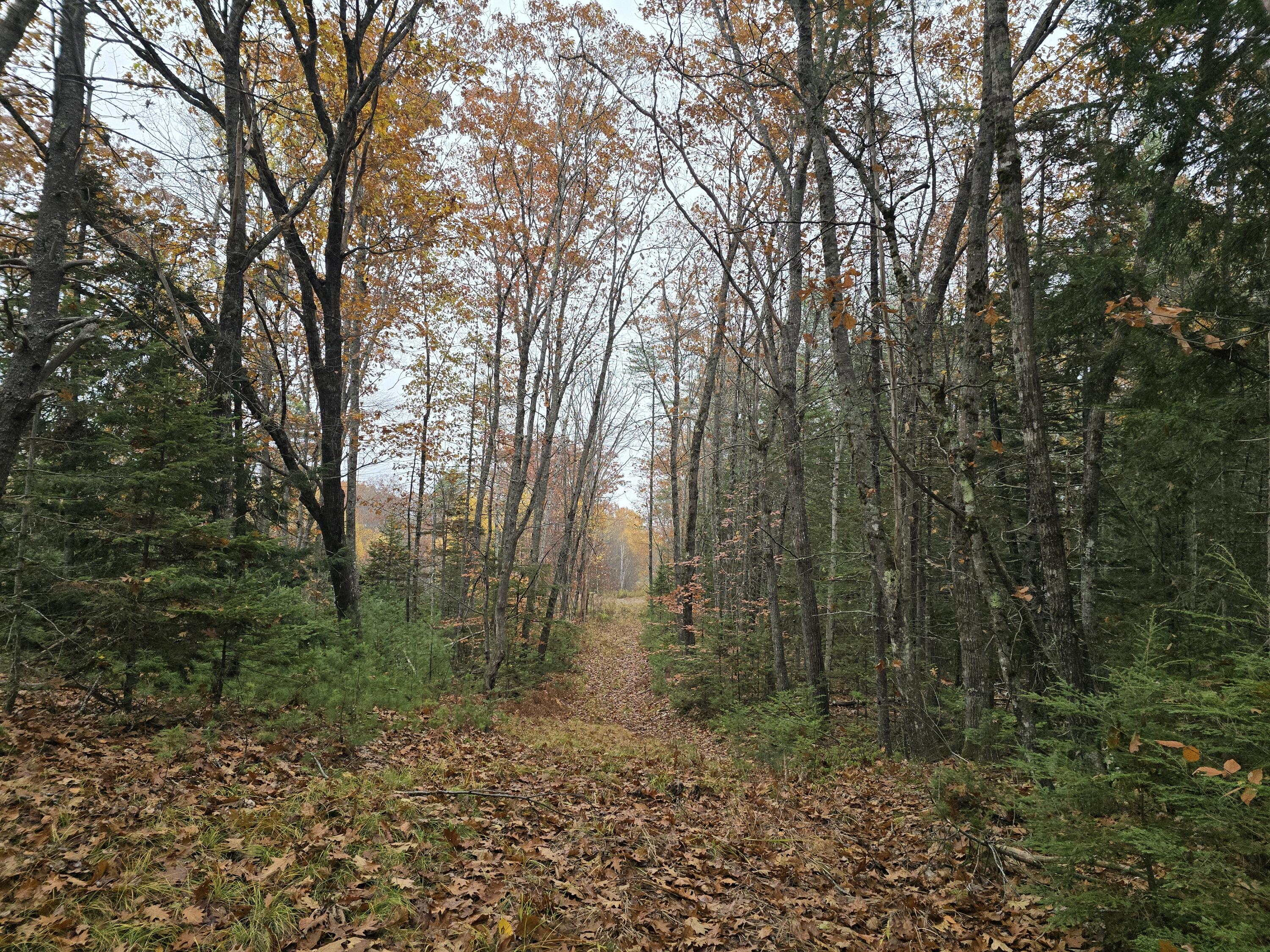 00 W Alna Road Alna ME 04535