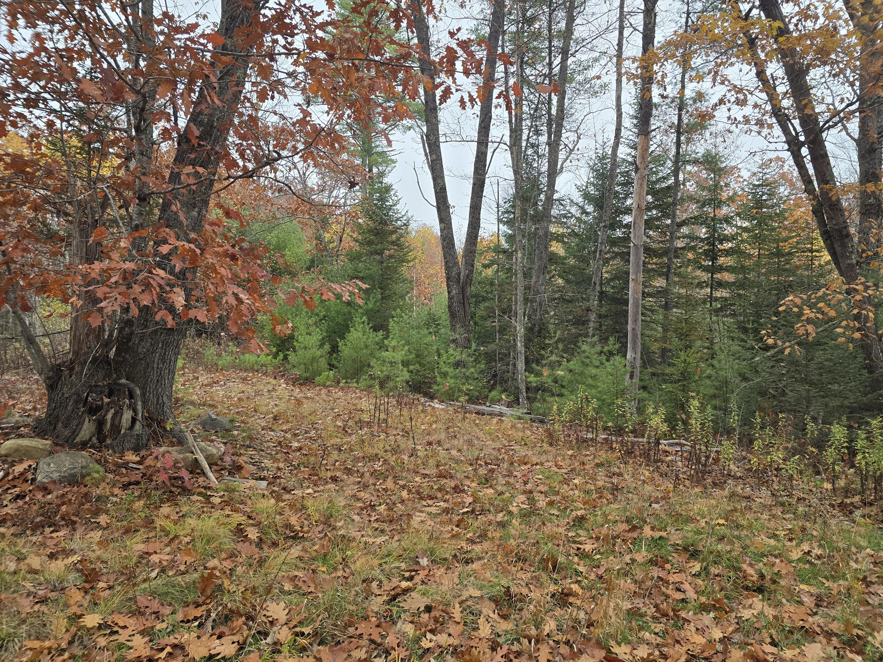 00 W Alna Road Alna ME 04535