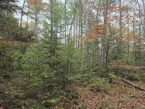 00 W Alna Road Alna ME 04535