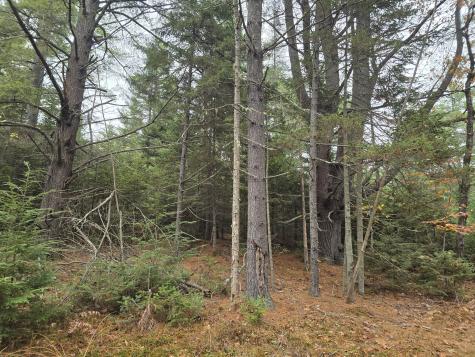 00 W Alna Road Alna ME 04535