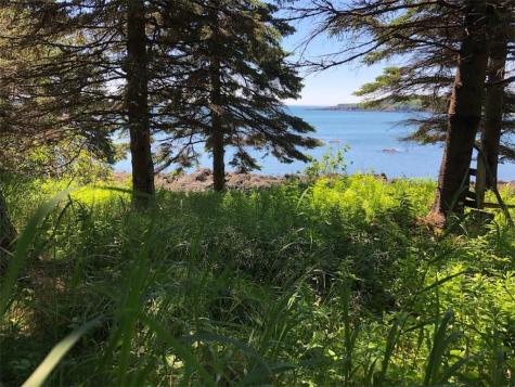 Lot 98-8 Eastern Head Road Trescott Twp ME 04652