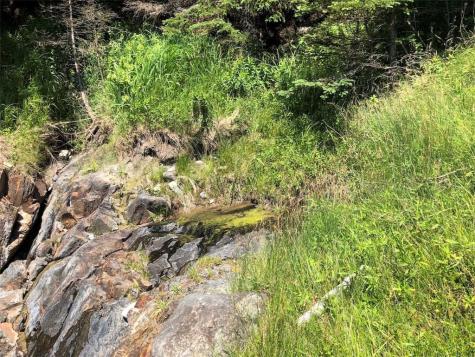 Lot 98-8 Eastern Head Road Trescott Twp ME 04652
