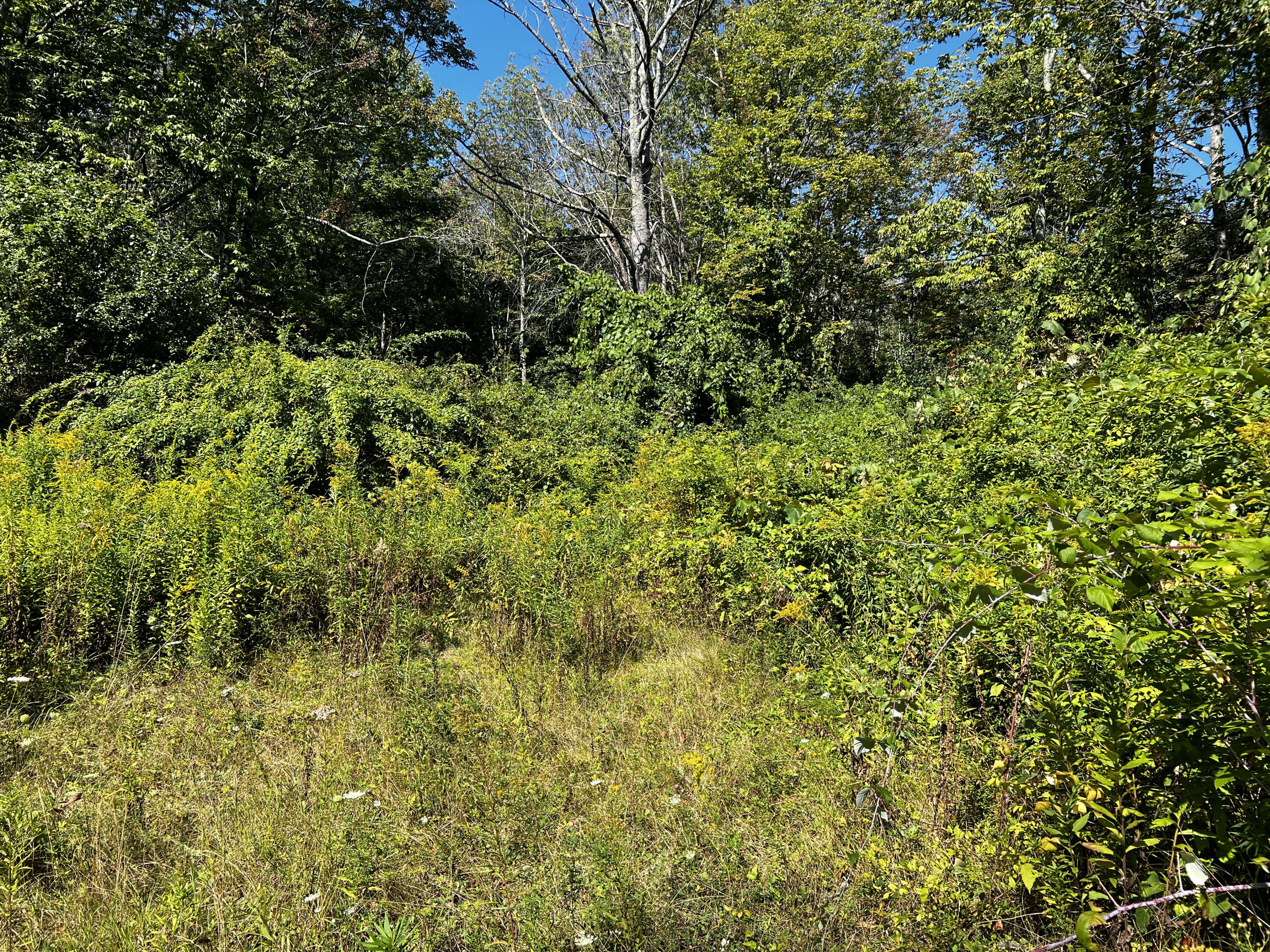 155 & 151 Gloucester Hill Road New Gloucester ME 04260