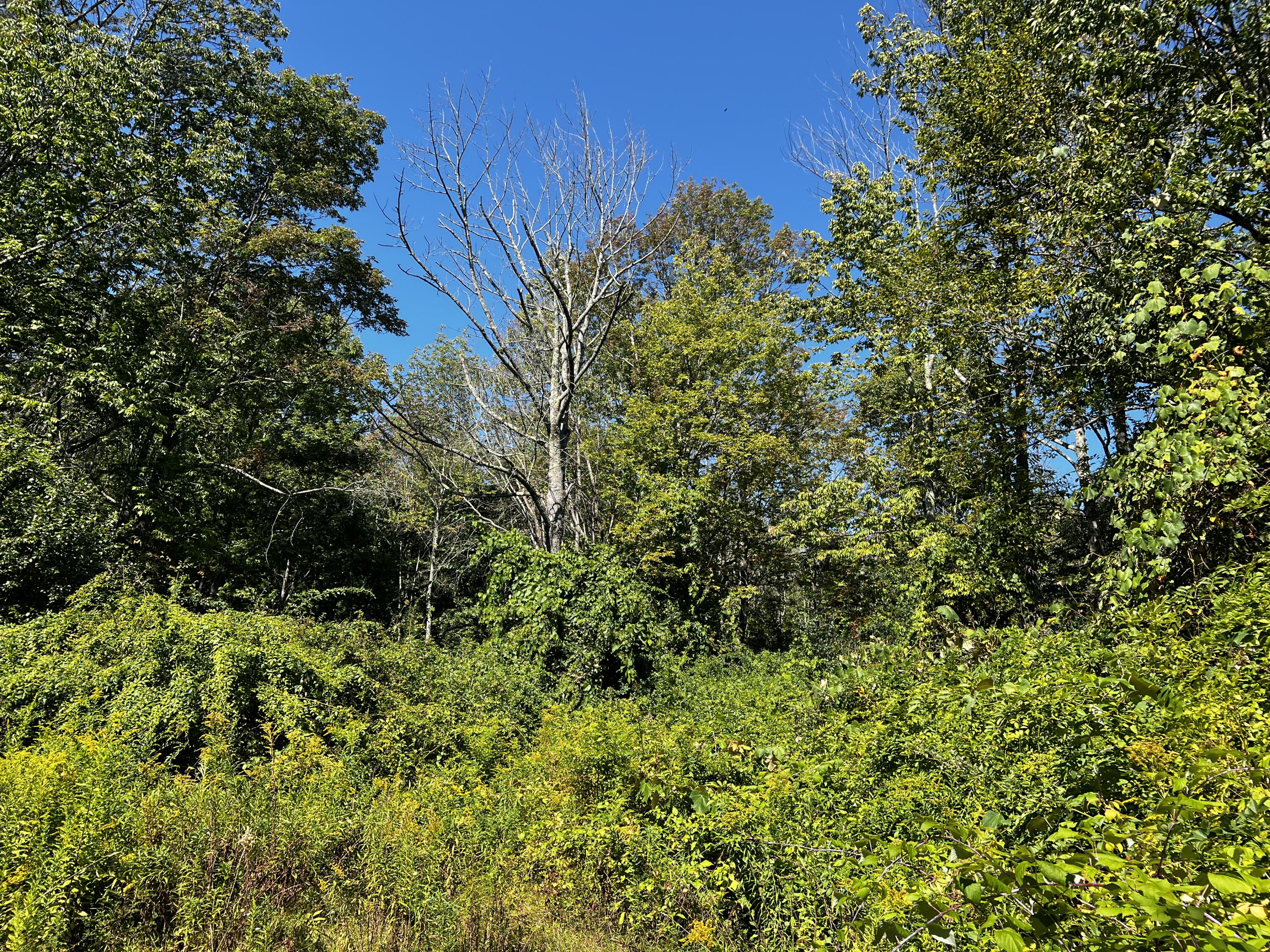 155 & 151 Gloucester Hill Road New Gloucester ME 04260