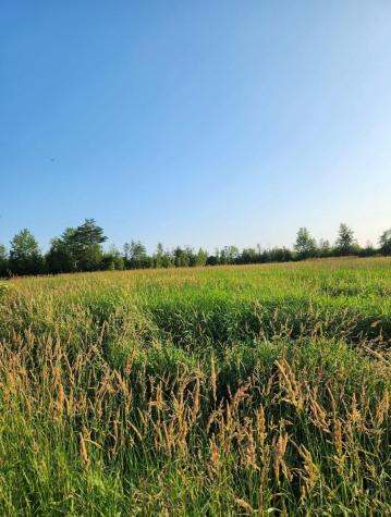 13a Williams Road Newport ME 04953