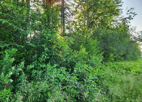 13a Williams Road Newport ME 04953