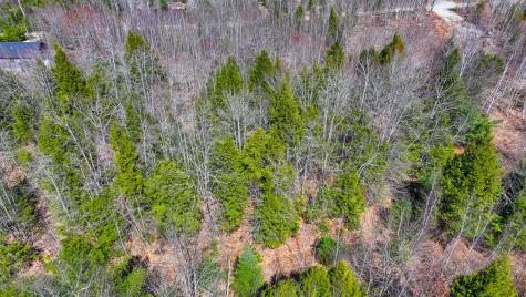 M11 L10-5 Moonlight Drive Harrison ME 04040