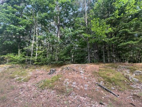 Lot #5 Intervale Road Bethel ME 04217