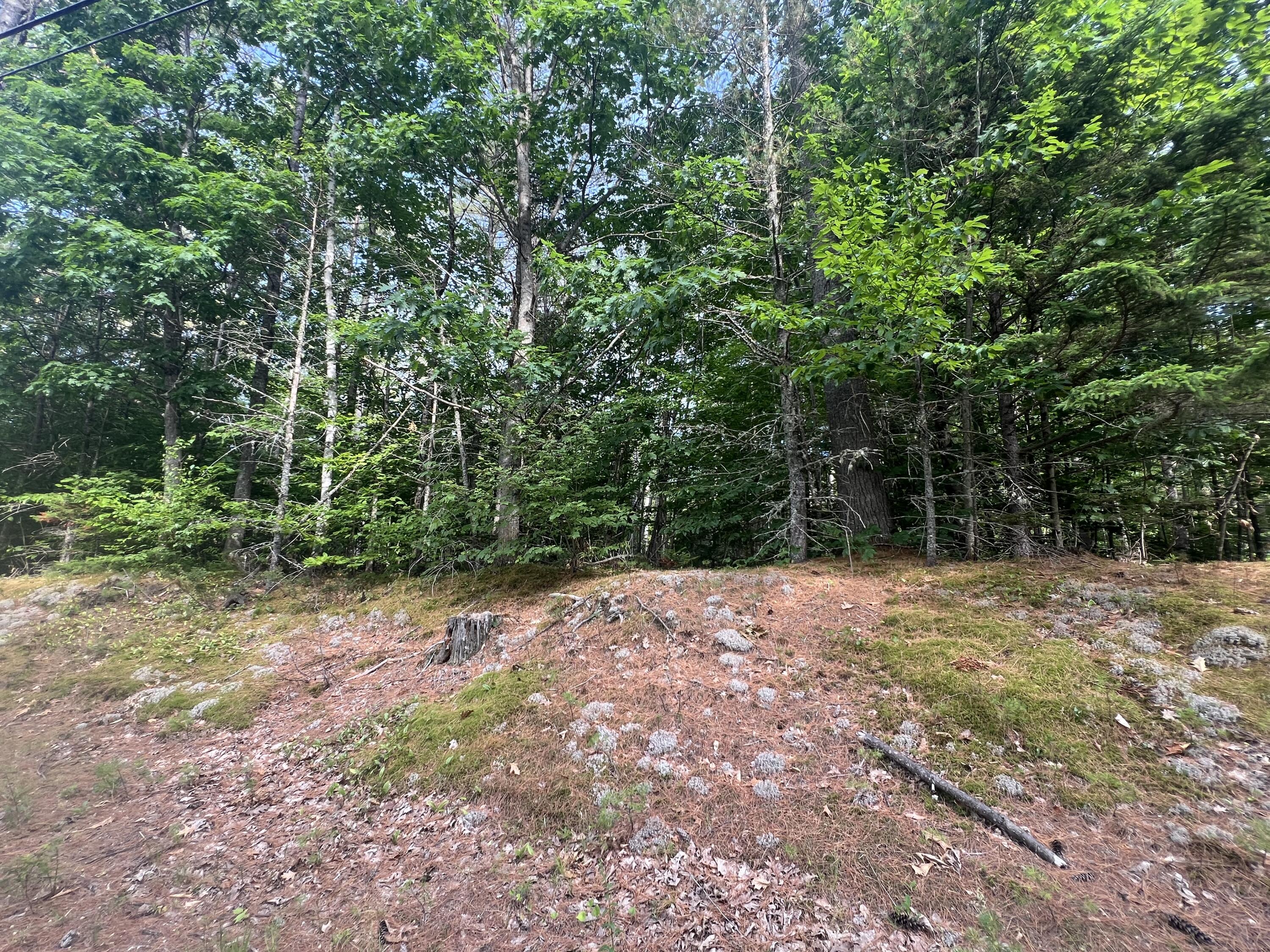 Lot #5 Intervale Road Bethel ME 04217