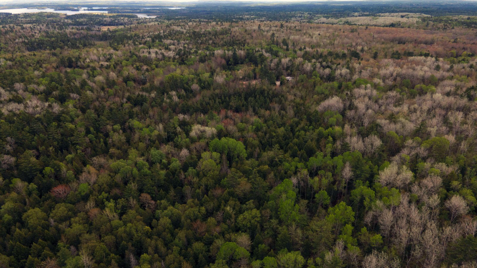 214 Milford Road Grand Lake Stream Plt ME 04668