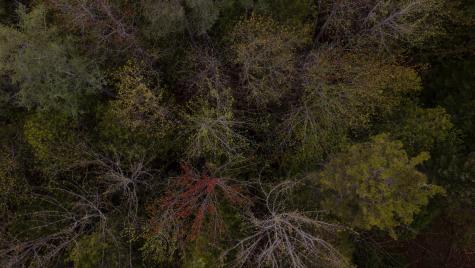 214 Milford Road Grand Lake Stream Plt ME 04668