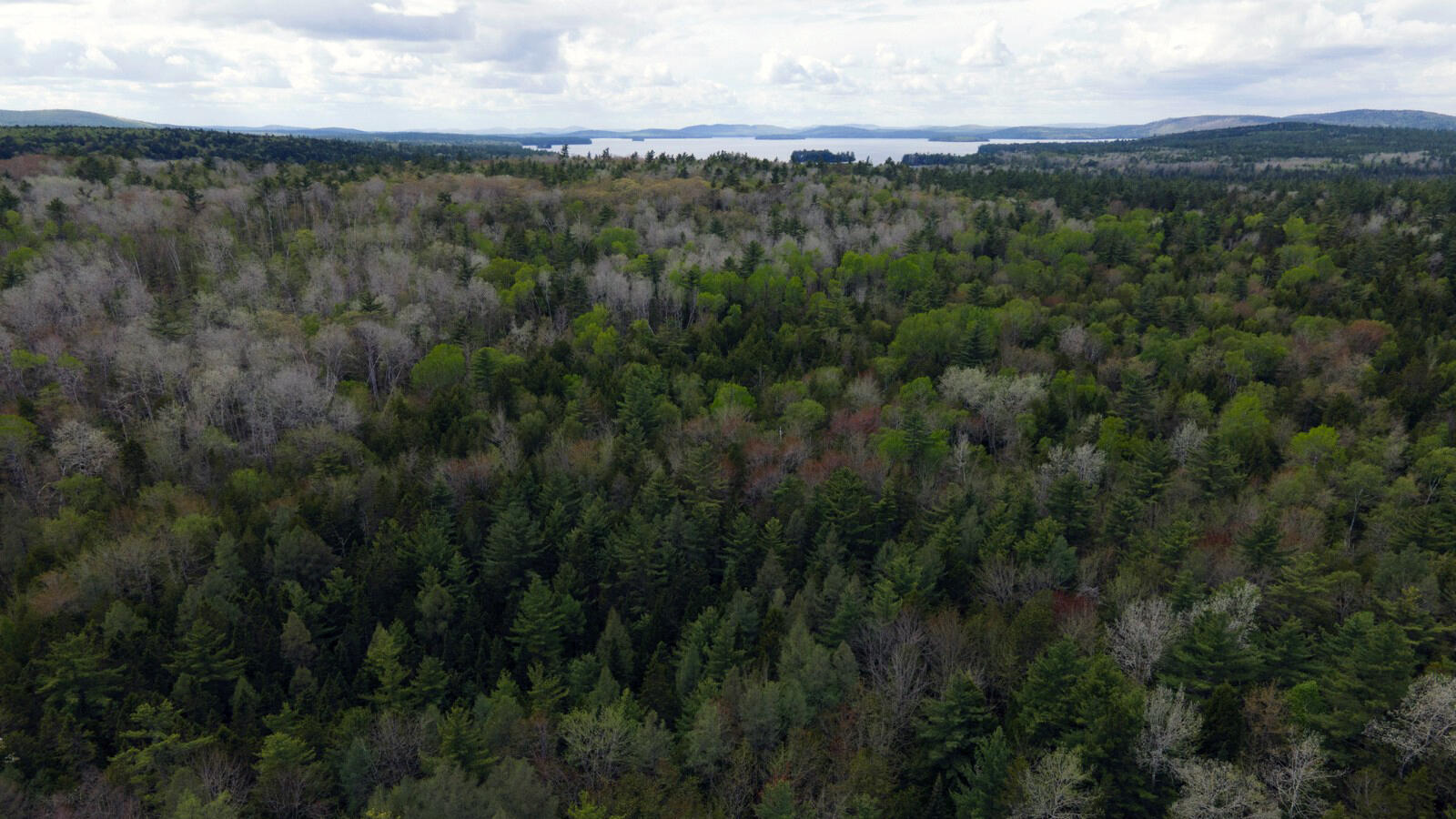 214 Milford Road Grand Lake Stream Plt ME 04668