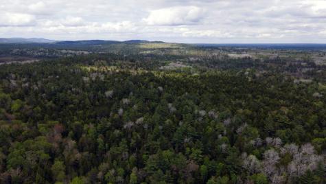 214 Milford Road Grand Lake Stream Plt ME 04668