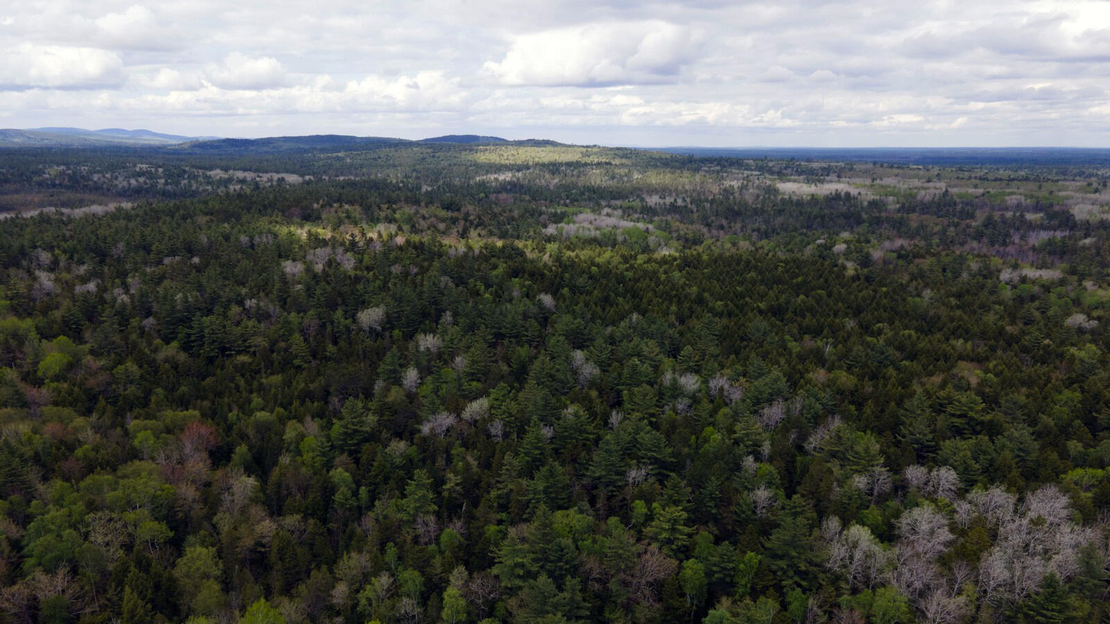 214 Milford Road Grand Lake Stream Plt ME 04668