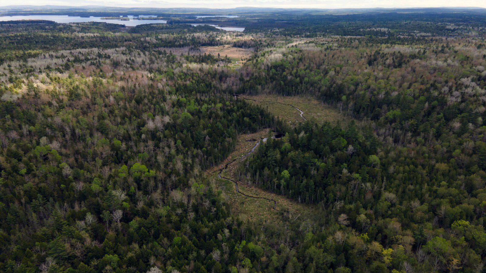 214 Milford Road Grand Lake Stream Plt ME 04668