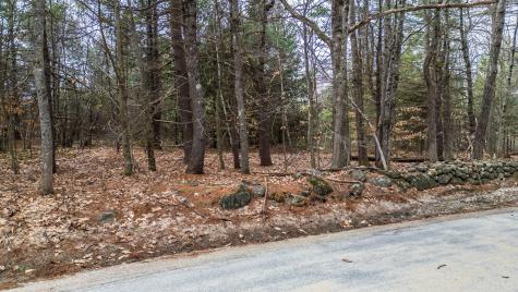 Lot 5 Dillon Road Harrison ME 04040