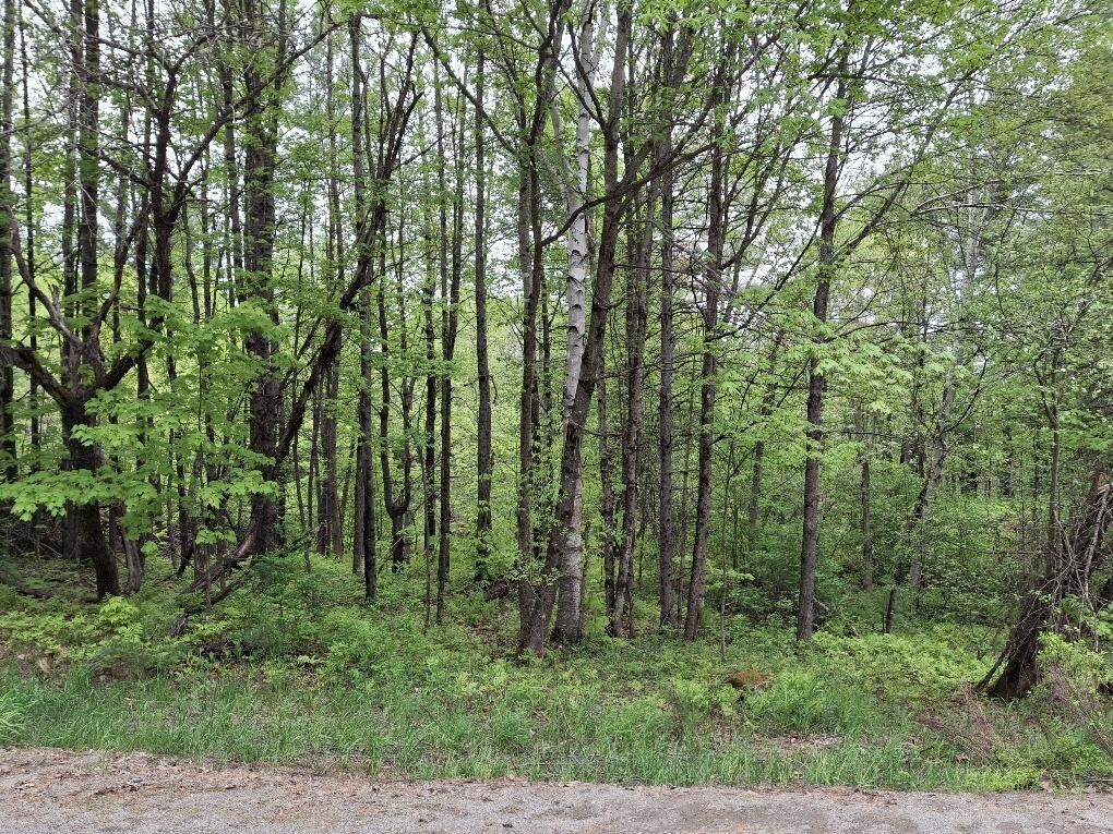 56 School Street New Portland ME 04954