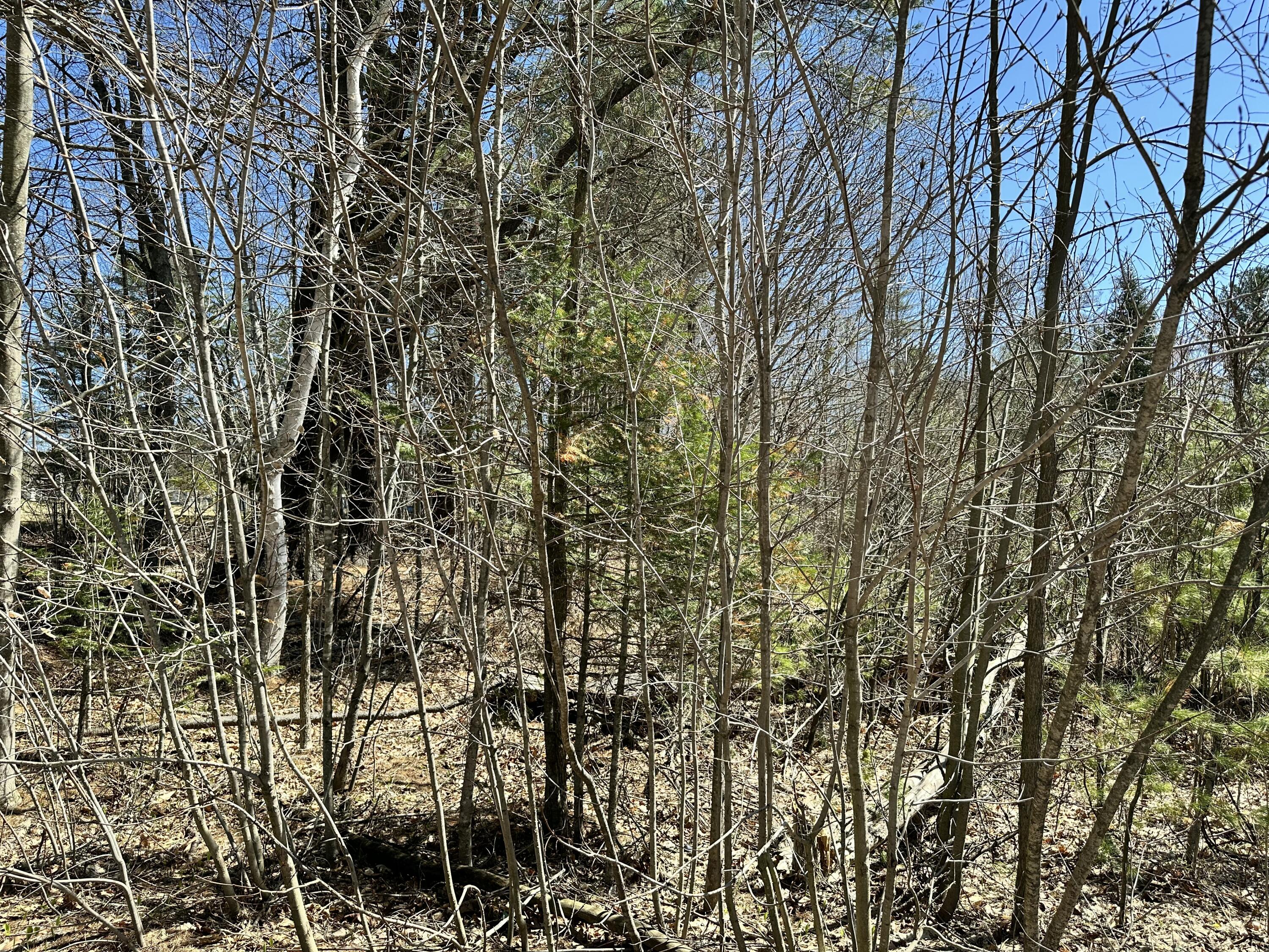 56 School Street New Portland ME 04954