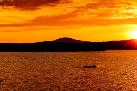 Lot 1 Map 23 Newbury Neck Road Surry ME 04684