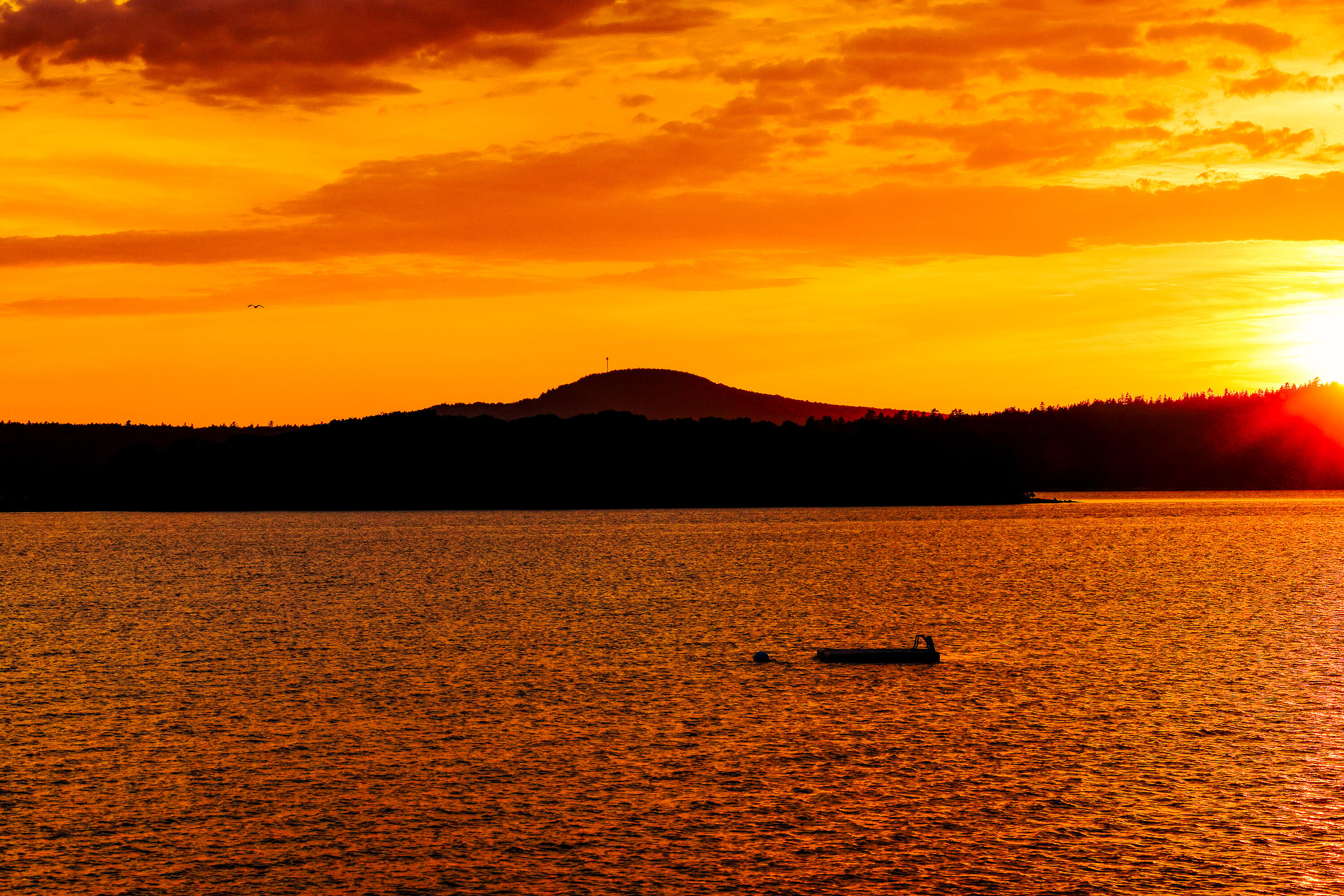 Lot 1 Map 23 Newbury Neck Road Surry ME 04684