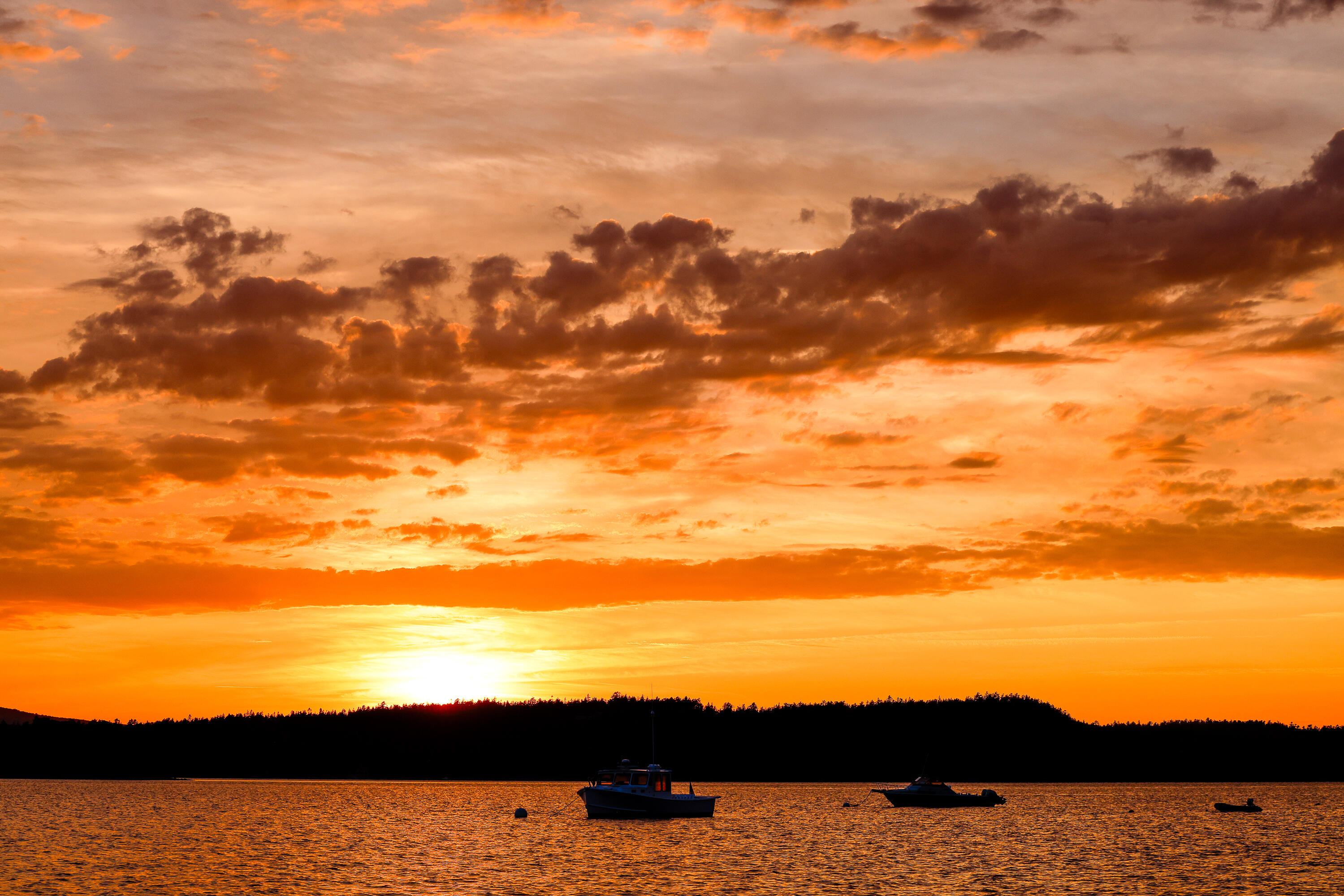 Lot 1 Map 23 Newbury Neck Road Surry ME 04684