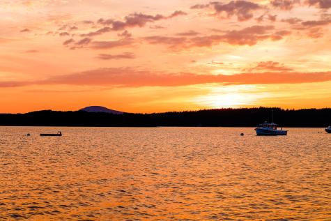 Lot 1 Map 23 Newbury Neck Road Surry ME 04684