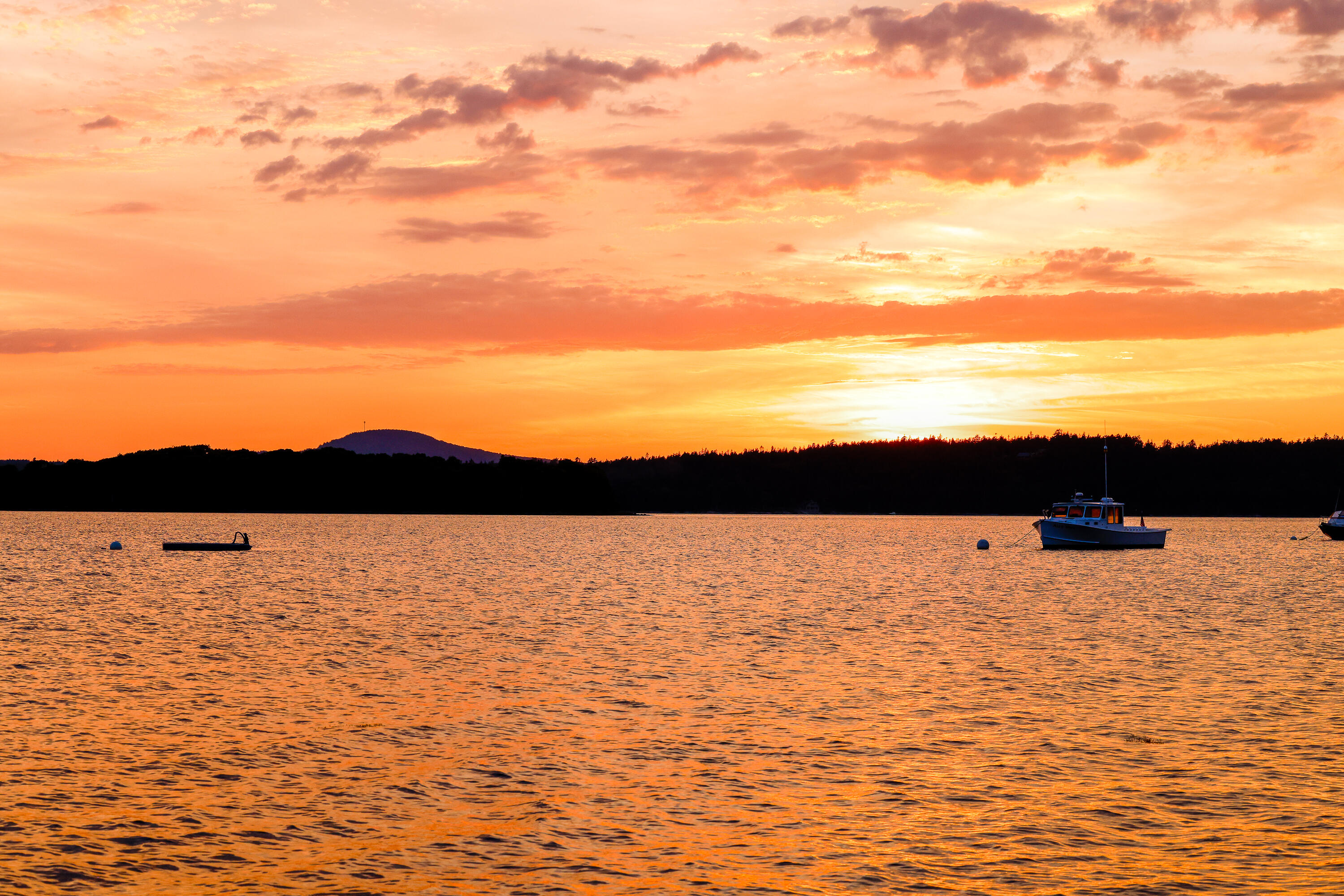 Lot 1 Map 23 Newbury Neck Road Surry ME 04684